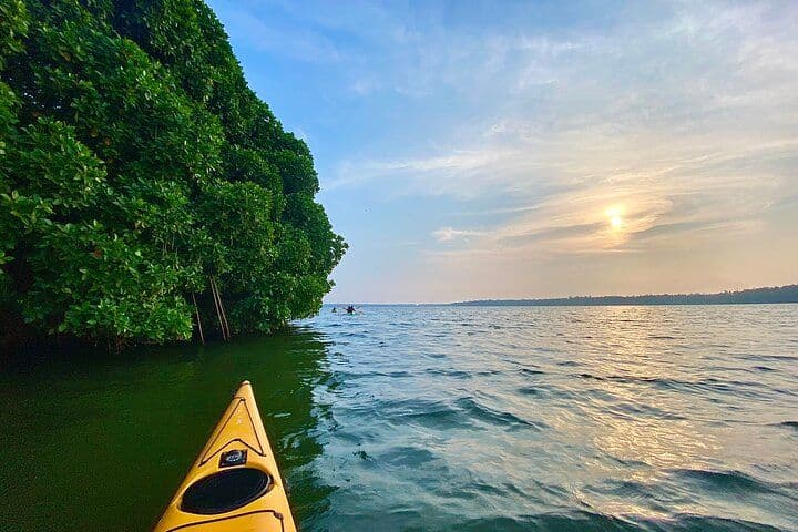 kayaking